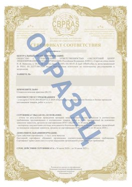 Образец Сертификат СТО 01.064.00220722.2-2020 Лиски Сертификат СТО 01.064.00220722.2-2020 